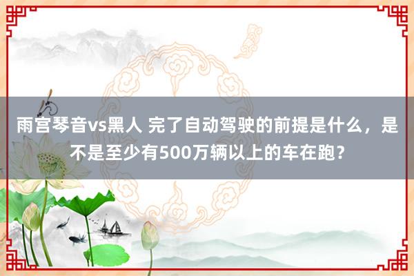 雨宫琴音vs黑人 完了自动驾驶的前提是什么，是不是至少有500万辆以上的车在跑？