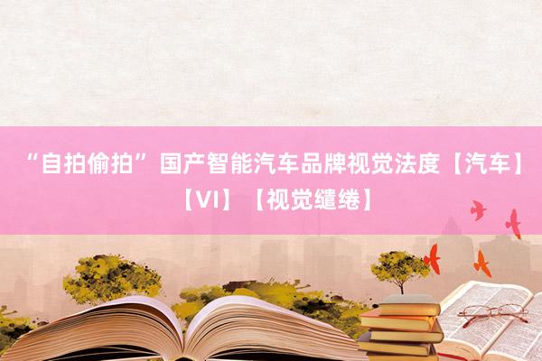 “自拍偷拍” 国产智能汽车品牌视觉法度【汽车】【VI】【视觉缱绻】