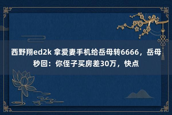 西野翔ed2k 拿爱妻手机给岳母转6666，岳母秒回：你侄子买房差30万，快点