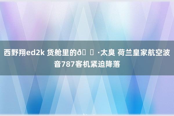 西野翔ed2k 货舱里的🐷太臭 荷兰皇家航空波音787客机紧迫降落