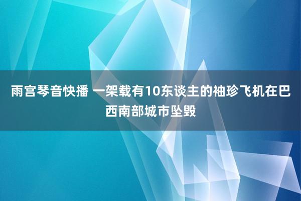 雨宫琴音快播 一架载有10东谈主的袖珍飞机在巴西南部城市坠毁