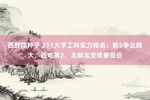 西野翔种子 211大学工科实力排名：前5争议颇大，西电第2，北邮北交或被低估