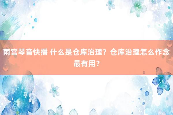 雨宫琴音快播 什么是仓库治理？仓库治理怎么作念最有用？