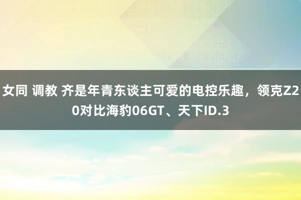 女同 调教 齐是年青东谈主可爱的电控乐趣，领克Z20对比海豹06GT、天下ID.3