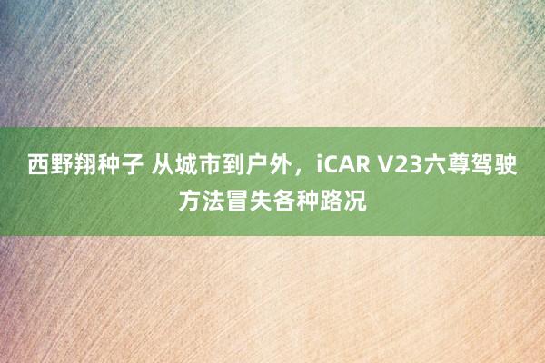 西野翔种子 从城市到户外，iCAR V23六尊驾驶方法冒失各种路况