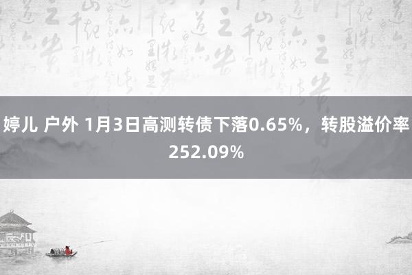 婷儿 户外 1月3日高测转债下落0.65%，转股溢价率252.09%