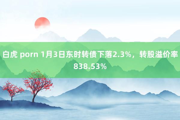 白虎 porn 1月3日东时转债下落2.3%，转股溢价率838.53%