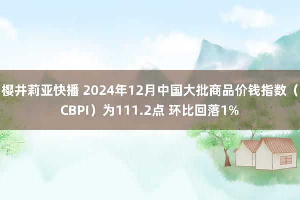 樱井莉亚快播 2024年12月中国大批商品价钱指数（CBPI）为111.2点 环比回落1%