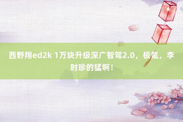 西野翔ed2k 1万块升级深广智驾2.0，极氪，李时珍的猛啊！