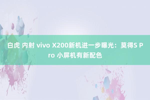 白虎 内射 vivo X200新机进一步曝光：莫得S Pro 小屏机有新配色