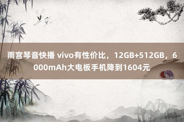 雨宫琴音快播 vivo有性价比，12GB+512GB，6000mAh大电板手机降到1604元