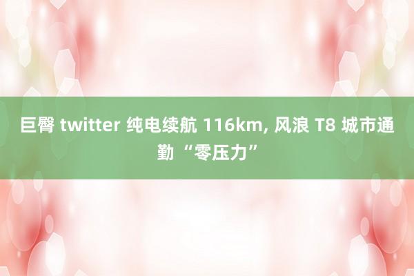 巨臀 twitter 纯电续航 116km， 风浪 T8 城市通勤 “零压力”