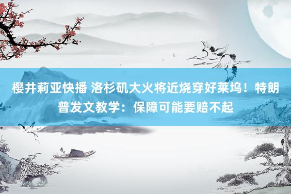 樱井莉亚快播 洛杉矶大火将近烧穿好莱坞！特朗普发文教学：保障可能要赔不起