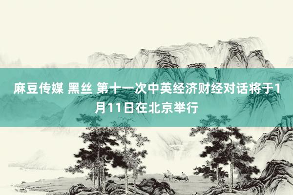 麻豆传媒 黑丝 第十一次中英经济财经对话将于1月11日在北京举行