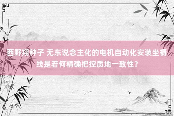 西野翔种子 无东说念主化的电机自动化安装坐褥线是若何精确把控质地一致性？