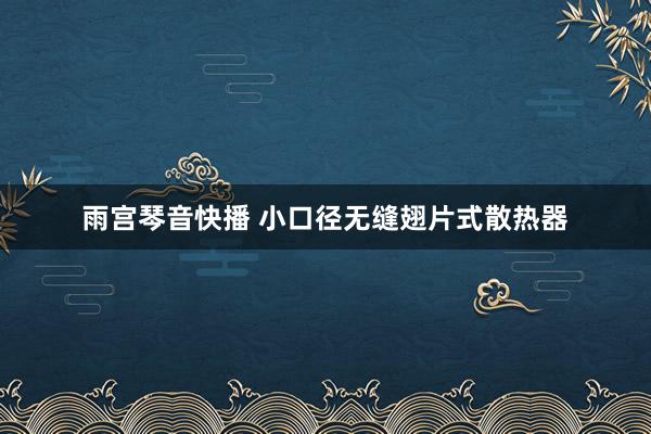 雨宫琴音快播 小口径无缝翅片式散热器