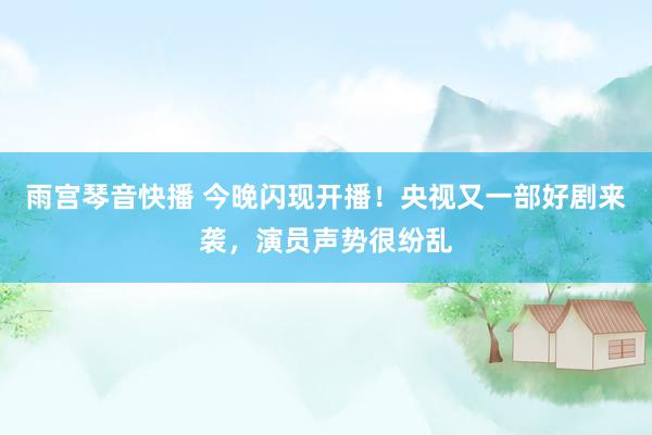 雨宫琴音快播 今晚闪现开播！央视又一部好剧来袭，演员声势很纷乱