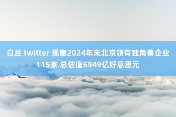 白丝 twitter 规章2024年末北京领有独角兽企业115家 总估值5949亿好意思元