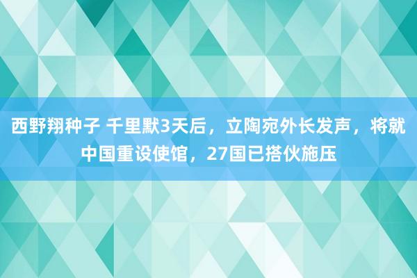 西野翔种子 千里默3天后，立陶宛外长发声，将就中国重设使馆，27国已搭伙施压