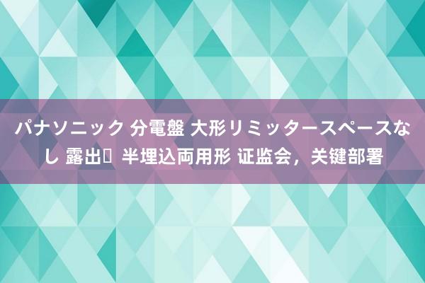 パナソニック 分電盤 大形リミッタースペースなし 露出・半埋込両用形 证监会，关键部署