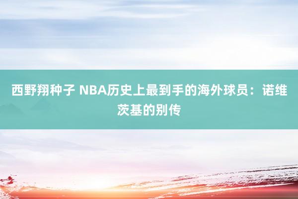 西野翔种子 NBA历史上最到手的海外球员：诺维茨基的别传