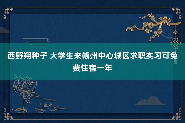 西野翔种子 大学生来赣州中心城区求职实习可免费住宿一年