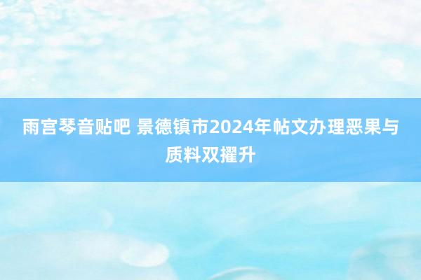 雨宫琴音贴吧 景德镇市2024年帖文办理恶果与质料双擢升