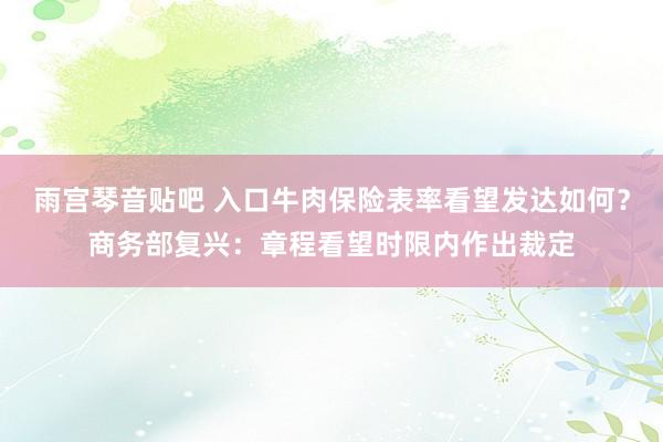 雨宫琴音贴吧 入口牛肉保险表率看望发达如何？商务部复兴：章程看望时限内作出裁定