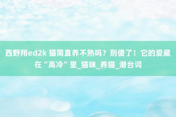 西野翔ed2k 猫简直养不熟吗？别傻了！它的爱藏在“高冷”里_猫咪_养猫_潜台词