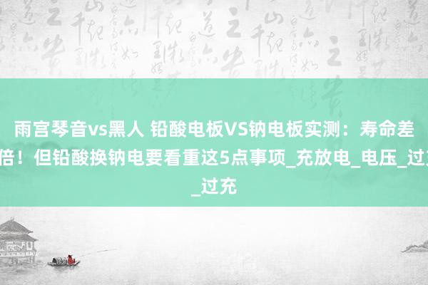 雨宫琴音vs黑人 铅酸电板VS钠电板实测：寿命差5倍！但铅酸换钠电要看重这5点事项_充放电_电压_过充