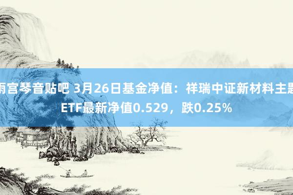 雨宫琴音贴吧 3月26日基金净值：祥瑞中证新材料主题ETF最新净值0.529，跌0.25%