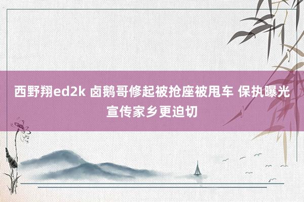 西野翔ed2k 卤鹅哥修起被抢座被甩车 保执曝光宣传家乡更迫切
