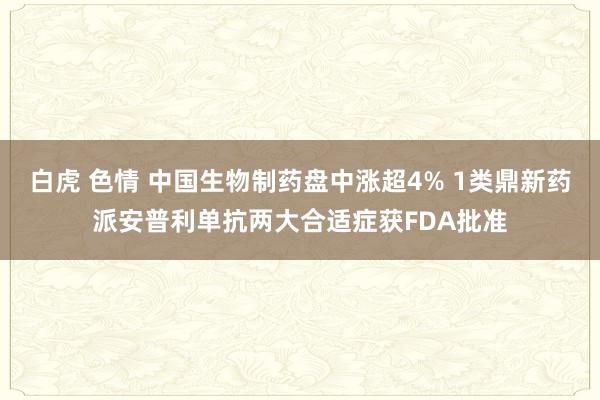 白虎 色情 中国生物制药盘中涨超4% 1类鼎新药派安普利单抗两大合适症获FDA批准